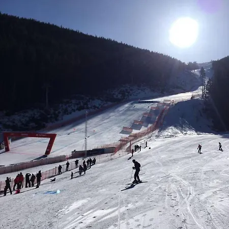 Dream 207 - Sleeps 4 Apartment Bansko